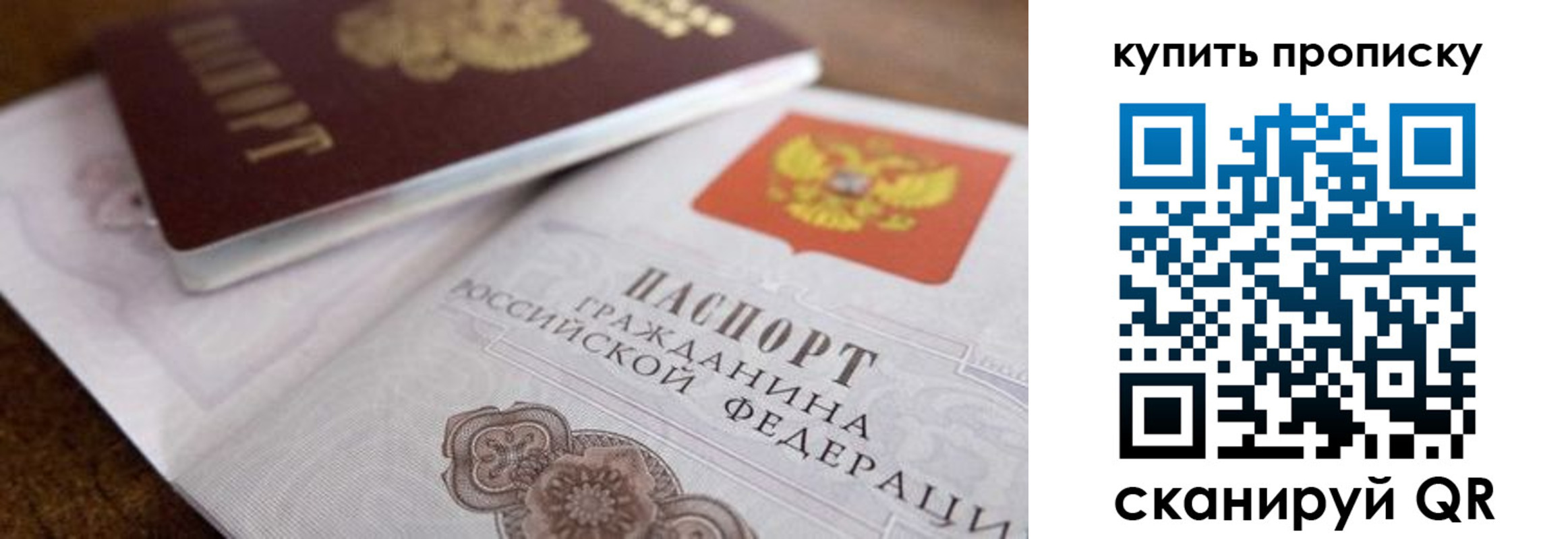 прописка гарантия в Калуге